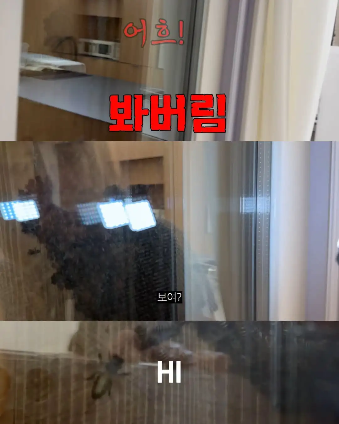 2주만에 제주도 집 갔다 119 부른 김숙