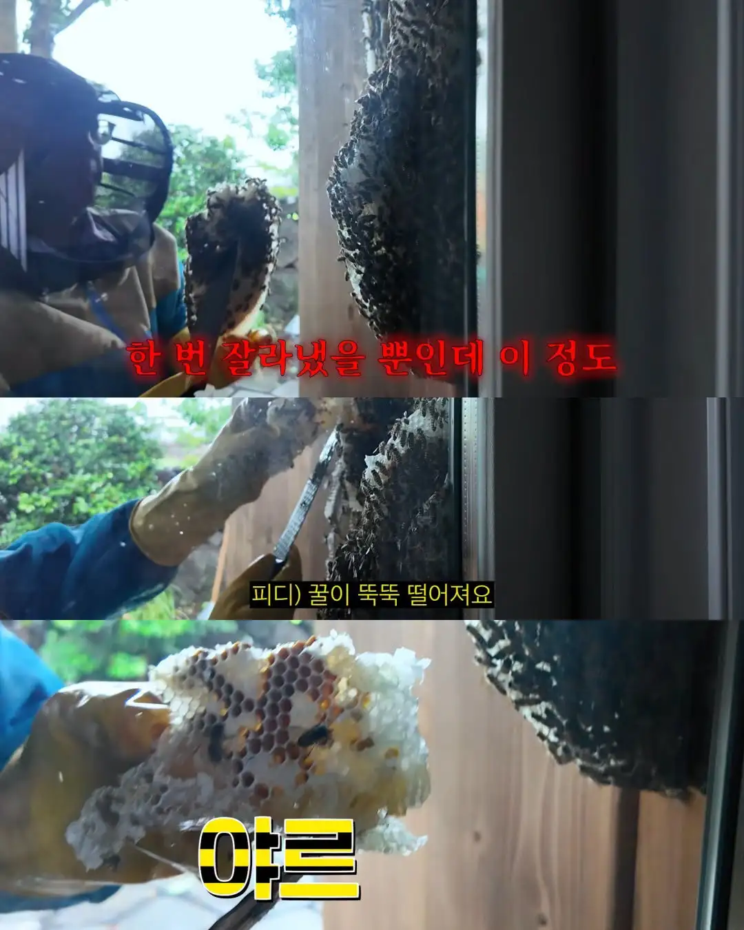 2주만에 제주도 집 갔다 119 부른 김숙