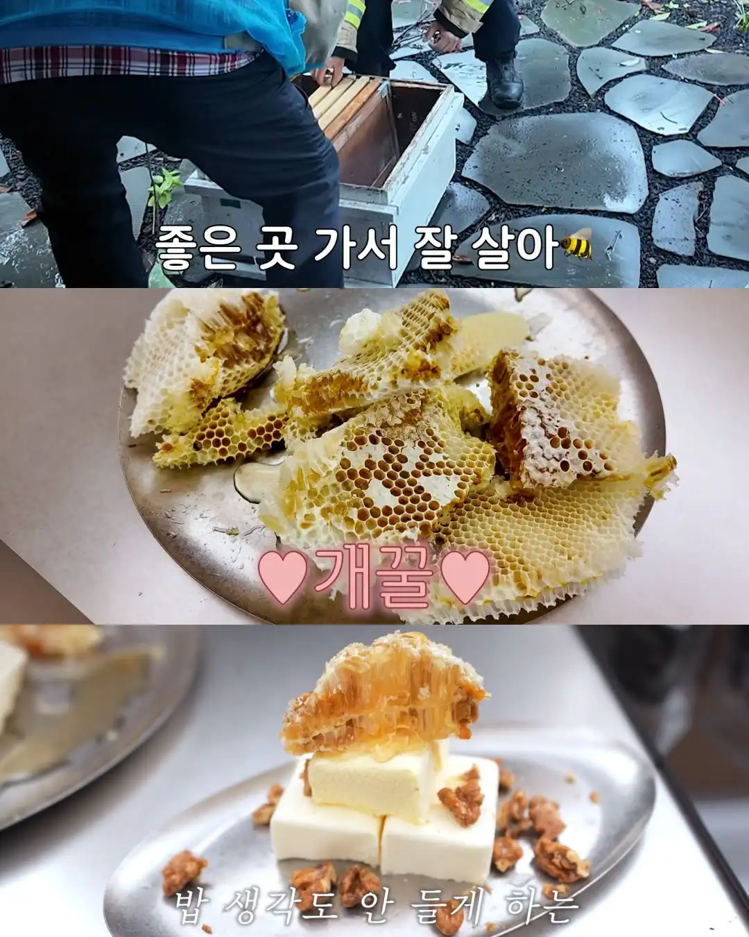 2주만에 제주도 집 갔다 119 부른 김숙