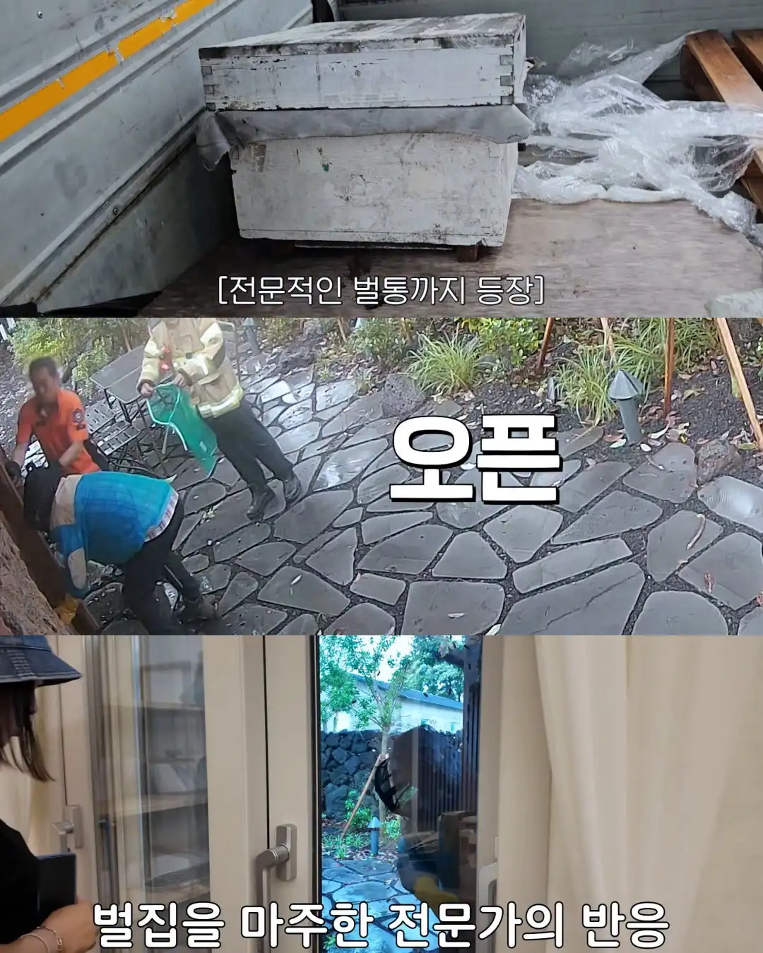 2주만에 제주도 집 갔다 119 부른 김숙