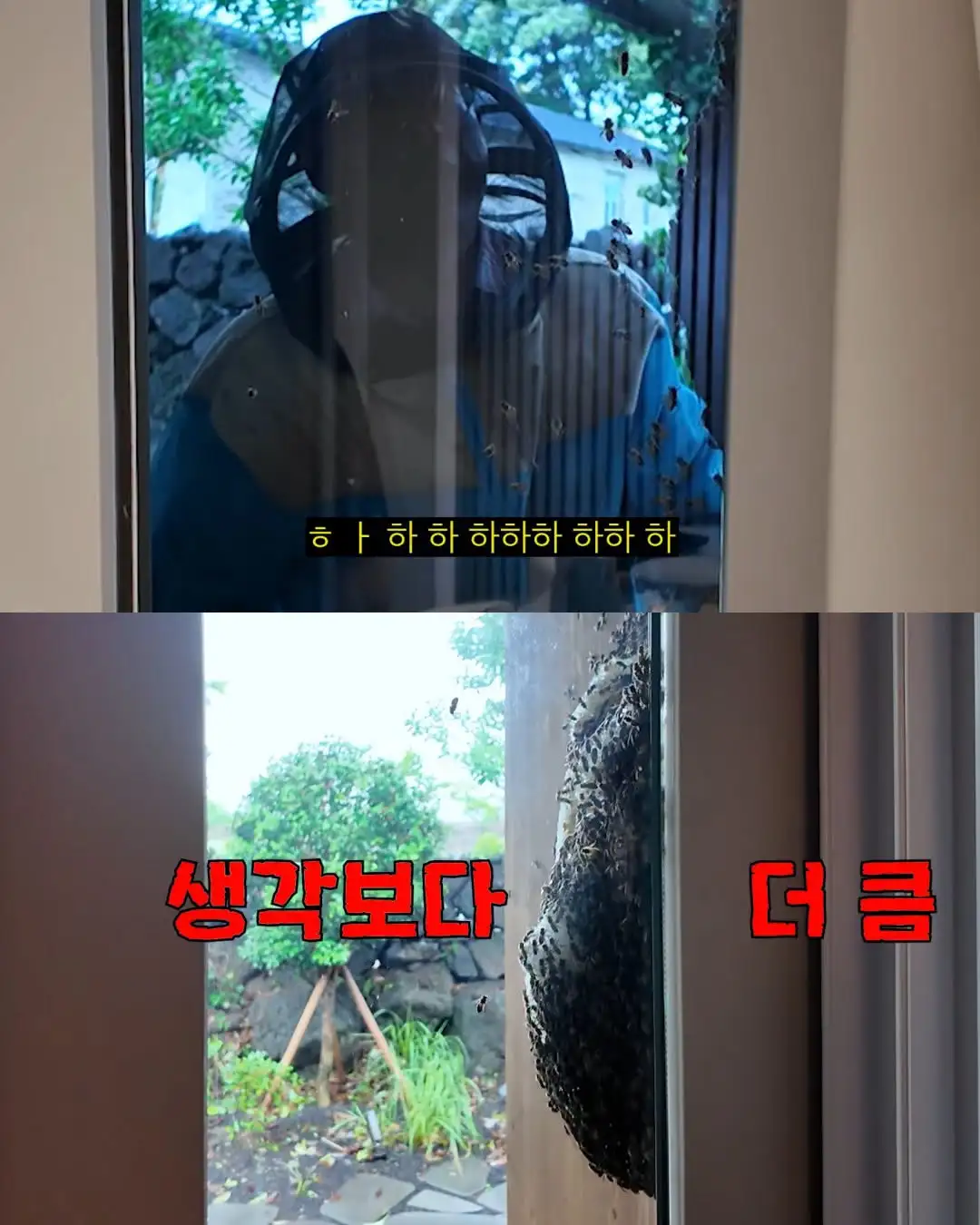 2주만에 제주도 집 갔다 119 부른 김숙
