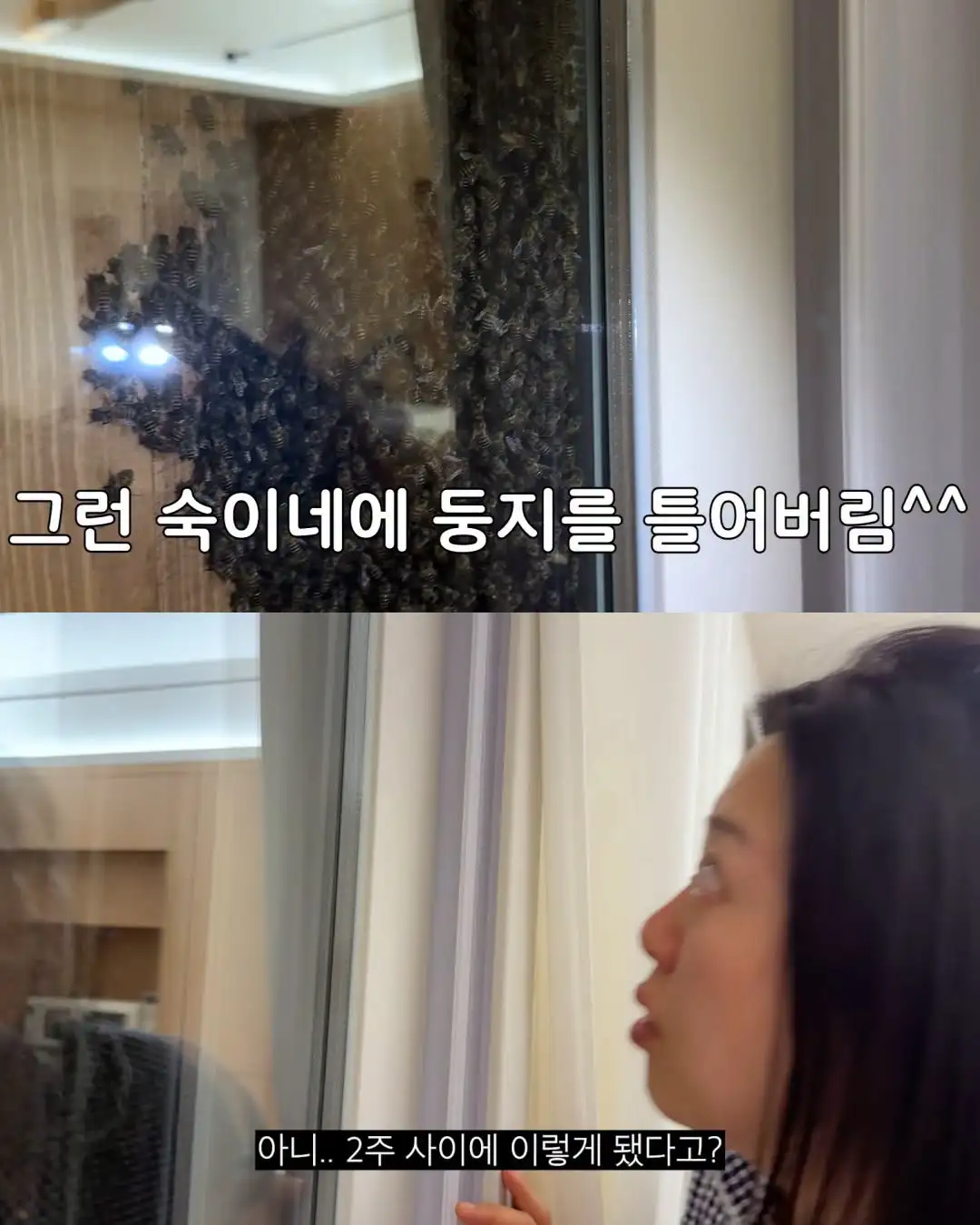 2주만에 제주도 집 갔다 119 부른 김숙
