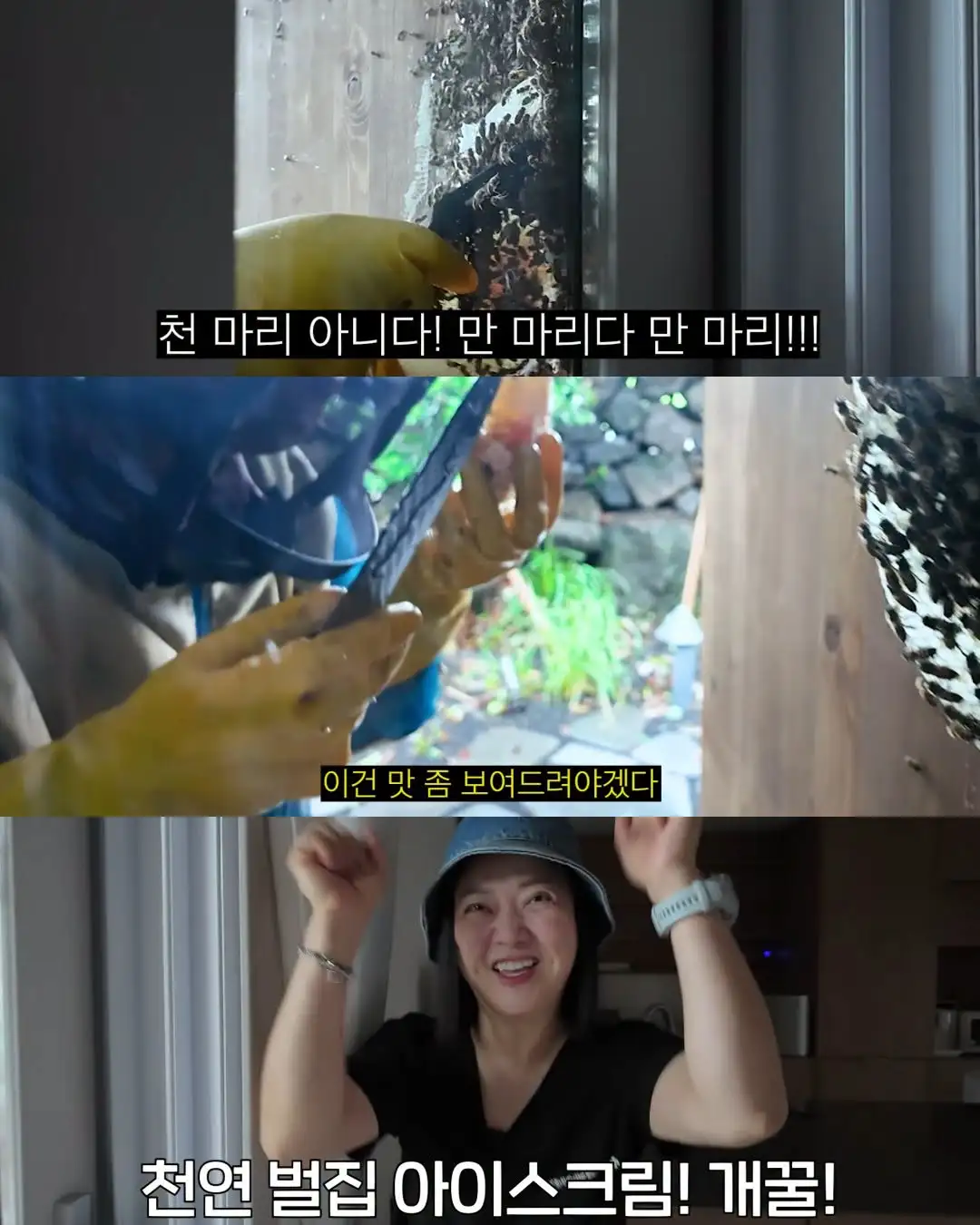 2주만에 제주도 집 갔다 119 부른 김숙