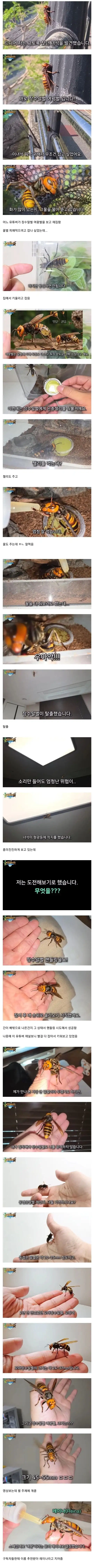 사실이면 논문으로 남겨야했을 상황_1.webp