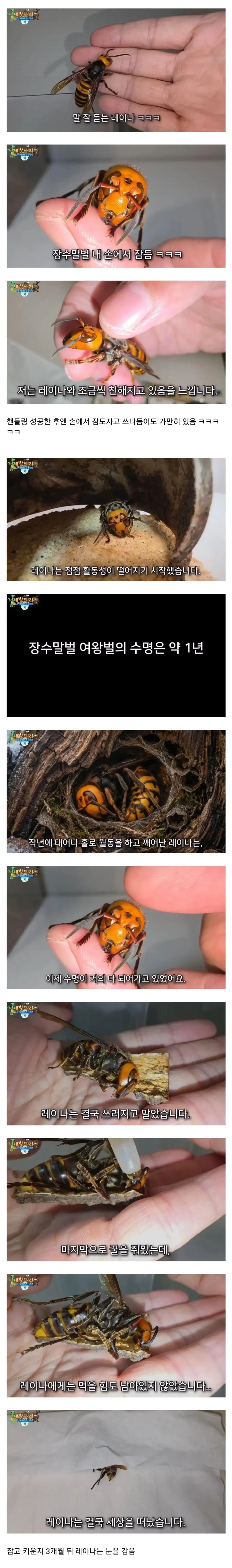 사실이면 논문으로 남겨야했을 상황_2.webp