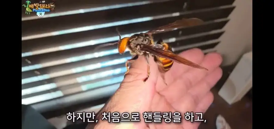 사실이면 논문으로 남겨야했을 상황_3.webp