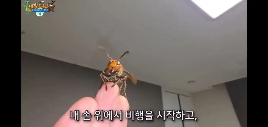 사실이면 논문으로 남겨야했을 상황_4.webp