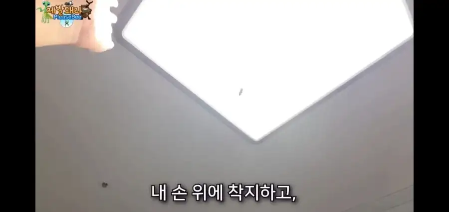 사실이면 논문으로 남겨야했을 상황_6.webp