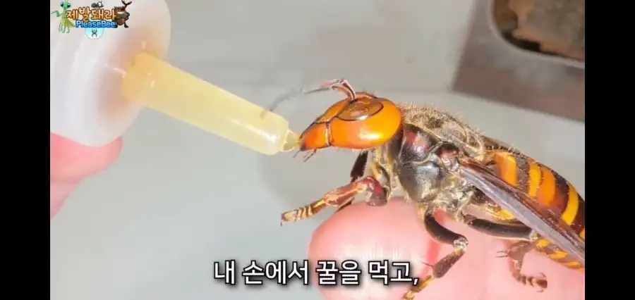 사실이면 논문으로 남겨야했을 상황_7.webp