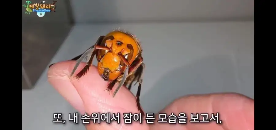 사실이면 논문으로 남겨야했을 상황_8.webp