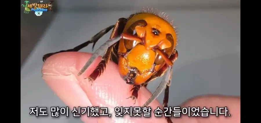 사실이면 논문으로 남겨야했을 상황_9.webp