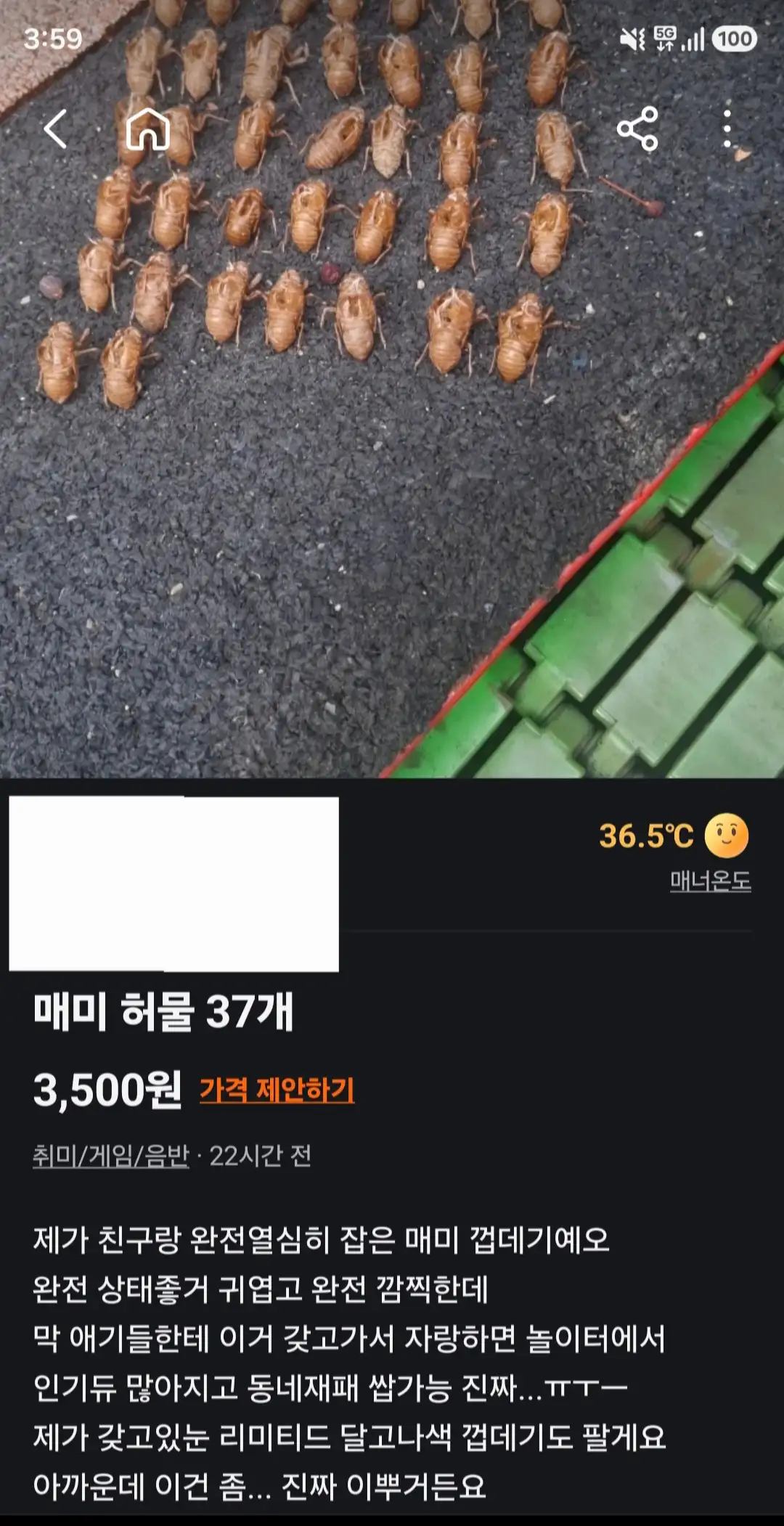 9634.jpg