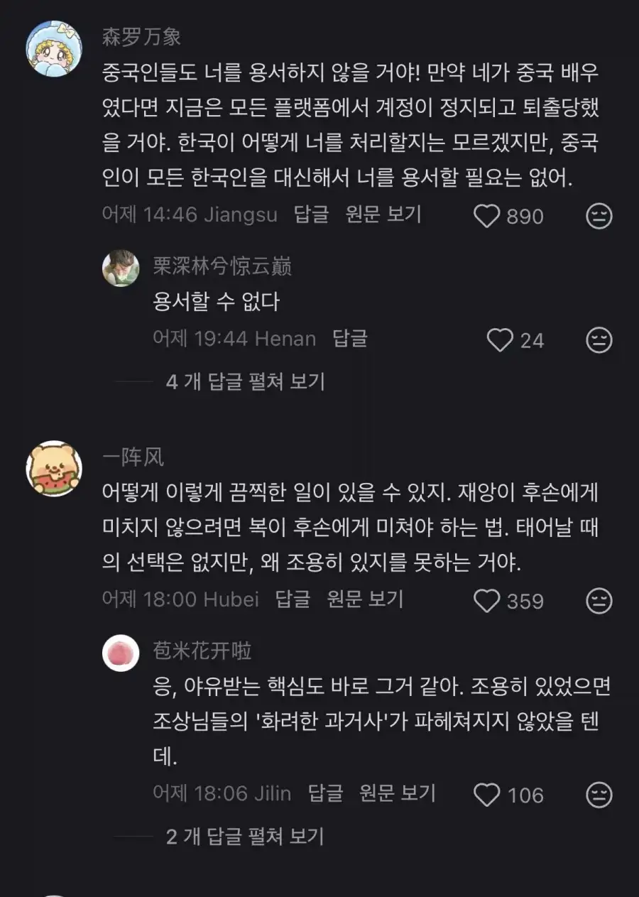 중국 사과문 글삭튀한 배우 하영의 삭제전 게시글에 달렸던 댓글_2.webp