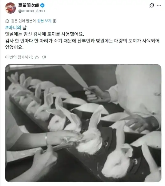 수십년전에 썼던 임신확인 방법_1.webp