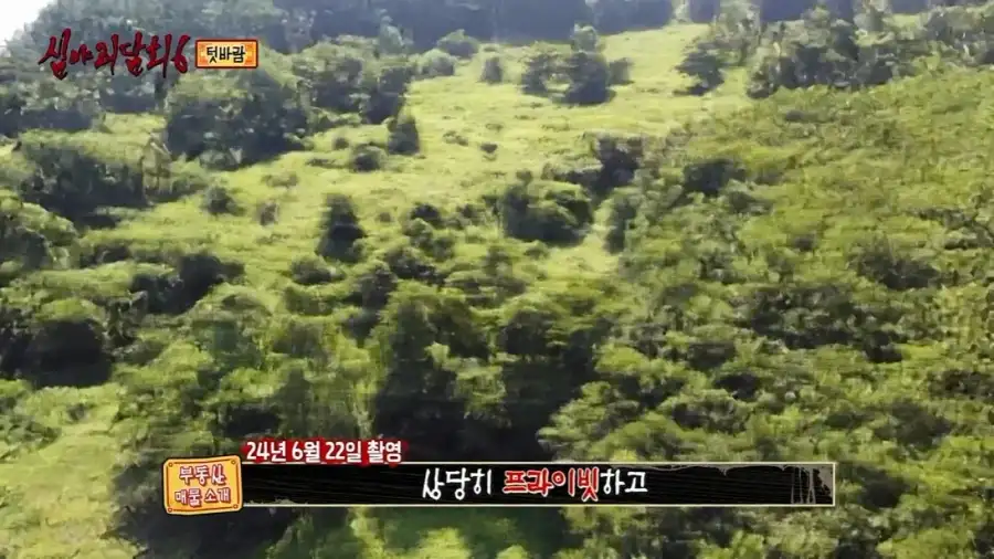 이번주의 심야괴담회에서 가장 무서운것_4.webp