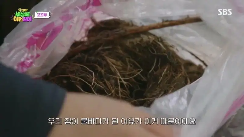 배수관이 자꾸 막혔던 원인 jpg._5.webp