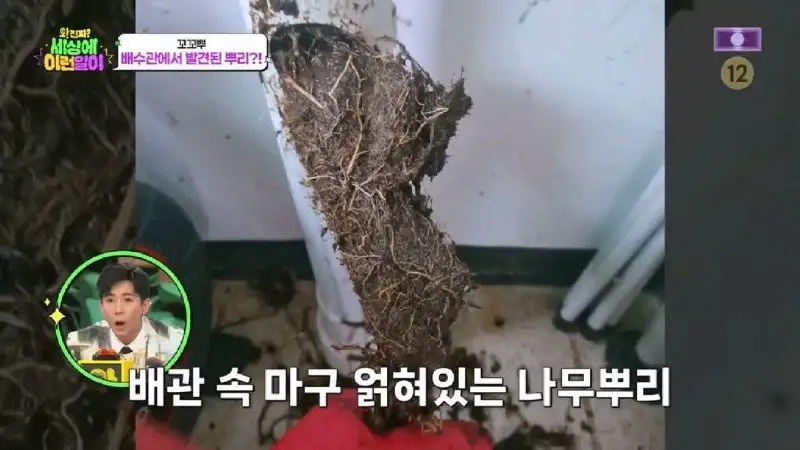 배수관이 자꾸 막혔던 원인 jpg._10.webp