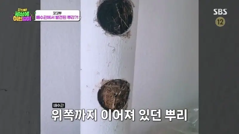 배수관이 자꾸 막혔던 원인 jpg._11.webp