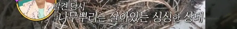 배수관이 자꾸 막혔던 원인 jpg._12.webp