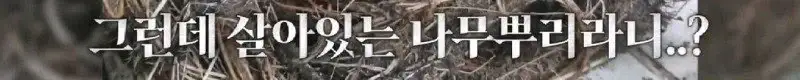 배수관이 자꾸 막혔던 원인 jpg._16.webp