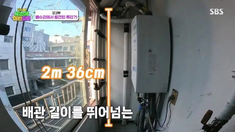 배수관이 자꾸 막혔던 원인 jpg._28.webp