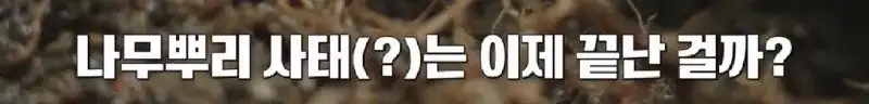배수관이 자꾸 막혔던 원인 jpg._33.webp