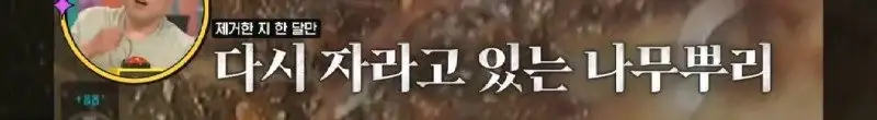 배수관이 자꾸 막혔던 원인 jpg._35.webp