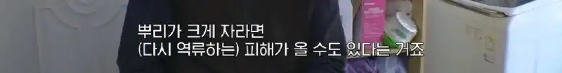 배수관이 자꾸 막혔던 원인 jpg._40.webp