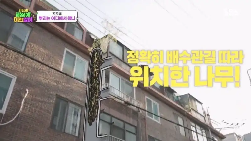 배수관이 자꾸 막혔던 원인 jpg._55.webp