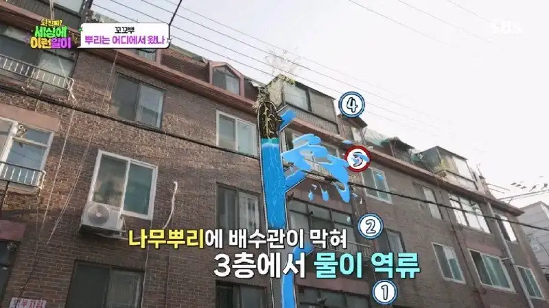 배수관이 자꾸 막혔던 원인 jpg._57.webp
