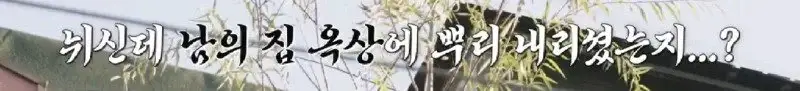 배수관이 자꾸 막혔던 원인 jpg._58.webp