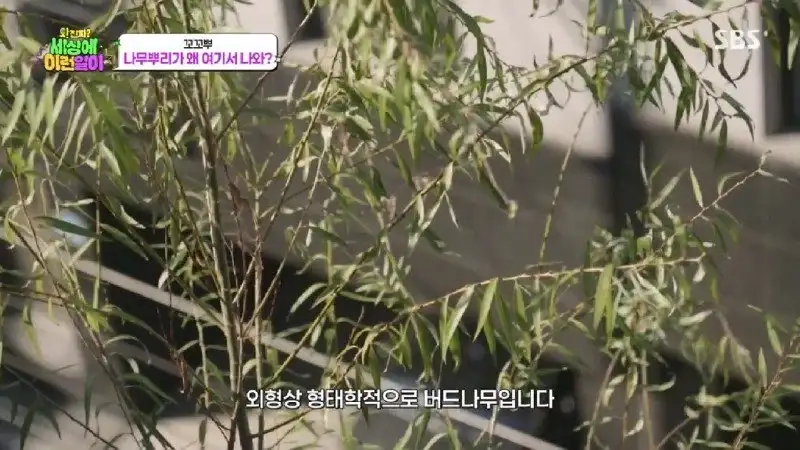 배수관이 자꾸 막혔던 원인 jpg._63.webp