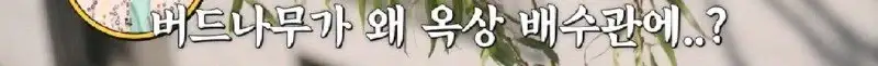 배수관이 자꾸 막혔던 원인 jpg._64.webp