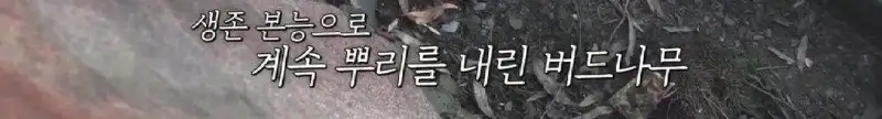 배수관이 자꾸 막혔던 원인 jpg._67.webp