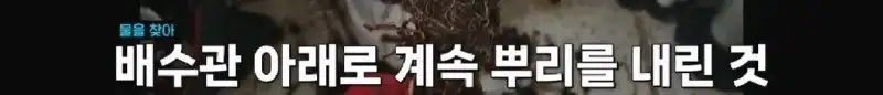 배수관이 자꾸 막혔던 원인 jpg._68.webp