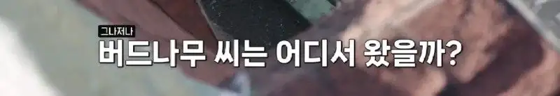 배수관이 자꾸 막혔던 원인 jpg._69.webp