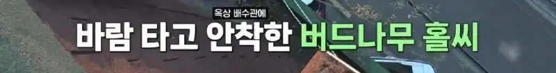 배수관이 자꾸 막혔던 원인 jpg._73.webp