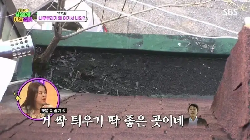 배수관이 자꾸 막혔던 원인 jpg._74.webp