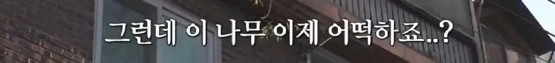 배수관이 자꾸 막혔던 원인 jpg._75.webp