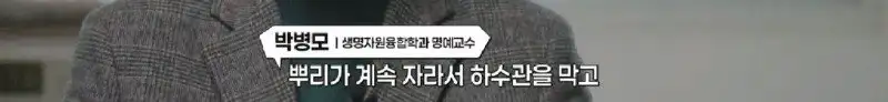 배수관이 자꾸 막혔던 원인 jpg._76.webp