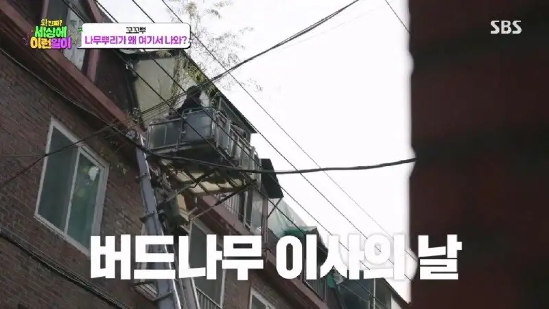 배수관이 자꾸 막혔던 원인 jpg._81.webp