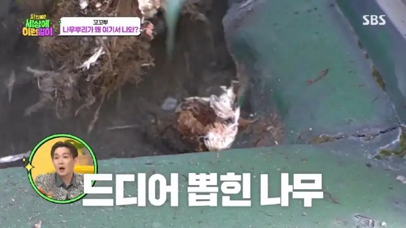 배수관이 자꾸 막혔던 원인 jpg._82.webp