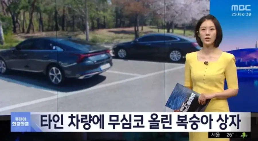 대한민국 진상 근황.jpg_1.webp