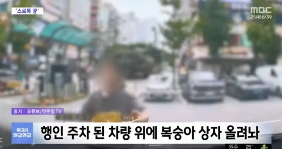 대한민국 진상 근황.jpg_3.webp