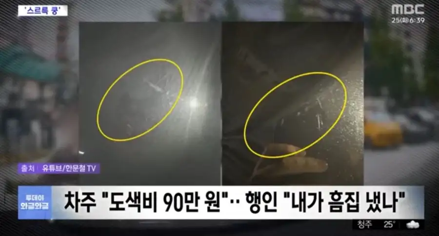 대한민국 진상 근황.jpg_7.webp