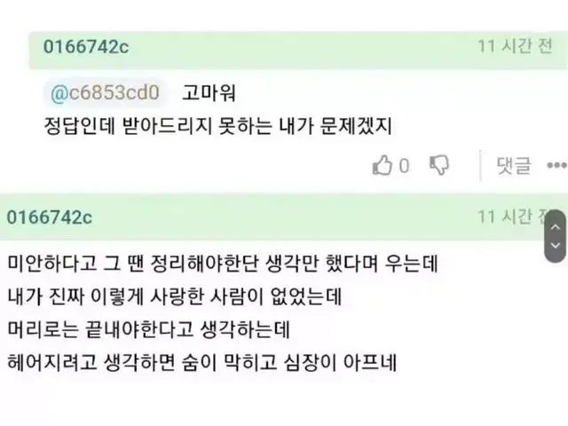 애인이 바람폈다는 글에 등장한 현자 댓글.jpg_3.webp