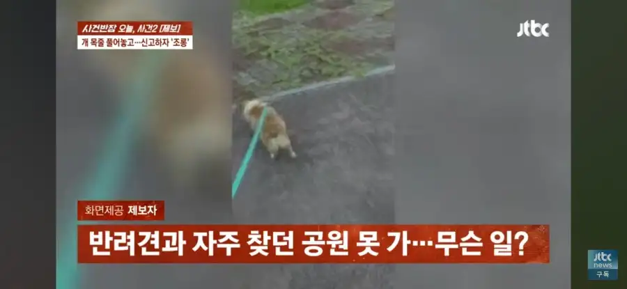 대한민국 시민의식 근황.jpg_1.webp