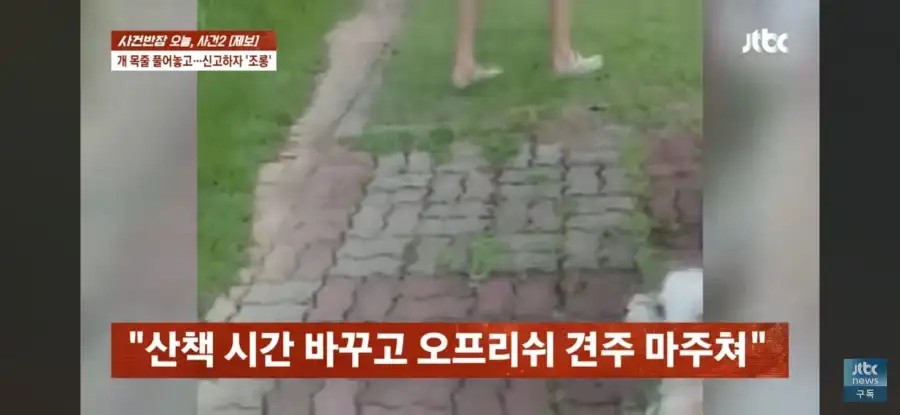 대한민국 시민의식 근황.jpg_2.webp