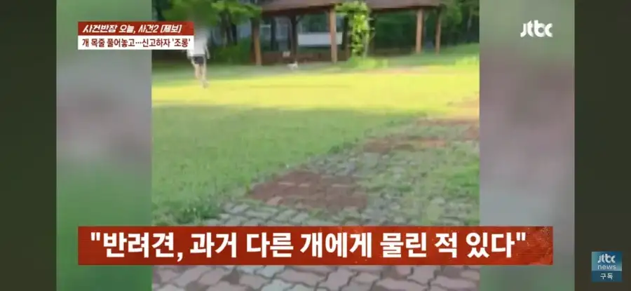 대한민국 시민의식 근황.jpg_3.webp