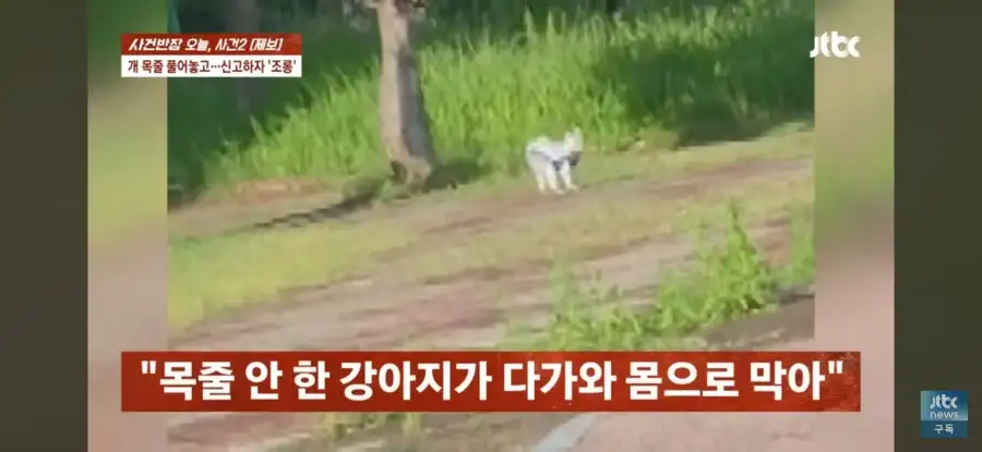 대한민국 시민의식 근황.jpg_4.webp